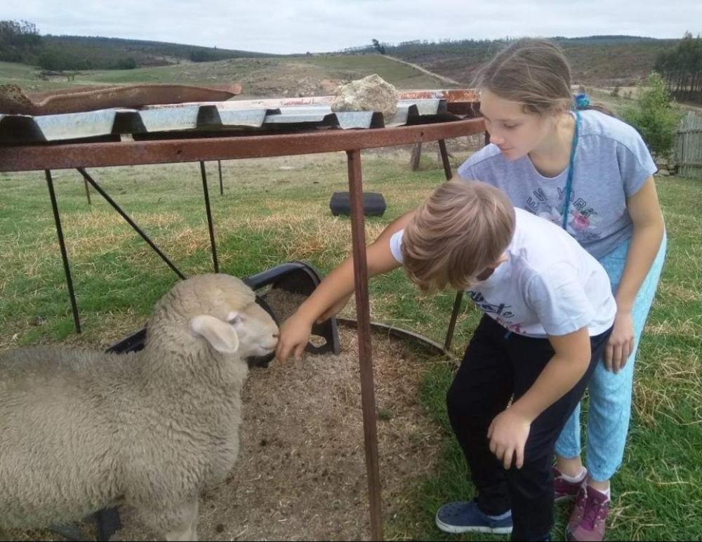 Rocks & Roses Farm Stay Lochiel Екстериор снимка