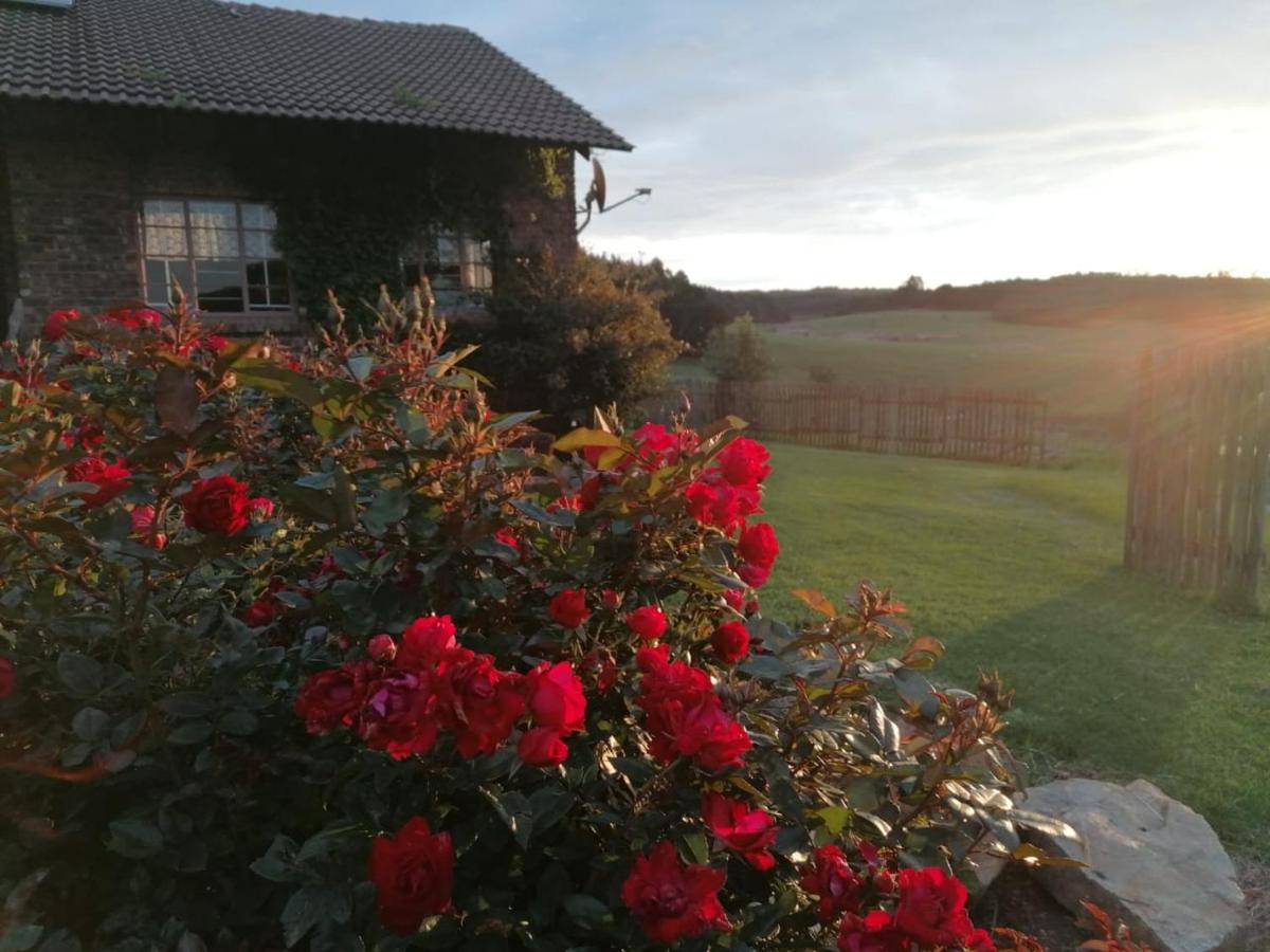 Rocks & Roses Farm Stay Lochiel Екстериор снимка