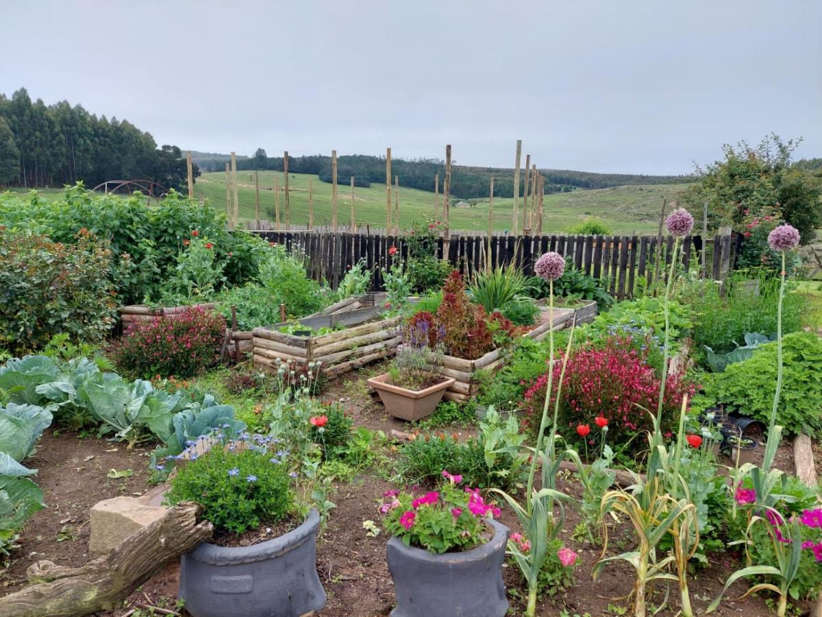 Rocks & Roses Farm Stay Lochiel Екстериор снимка