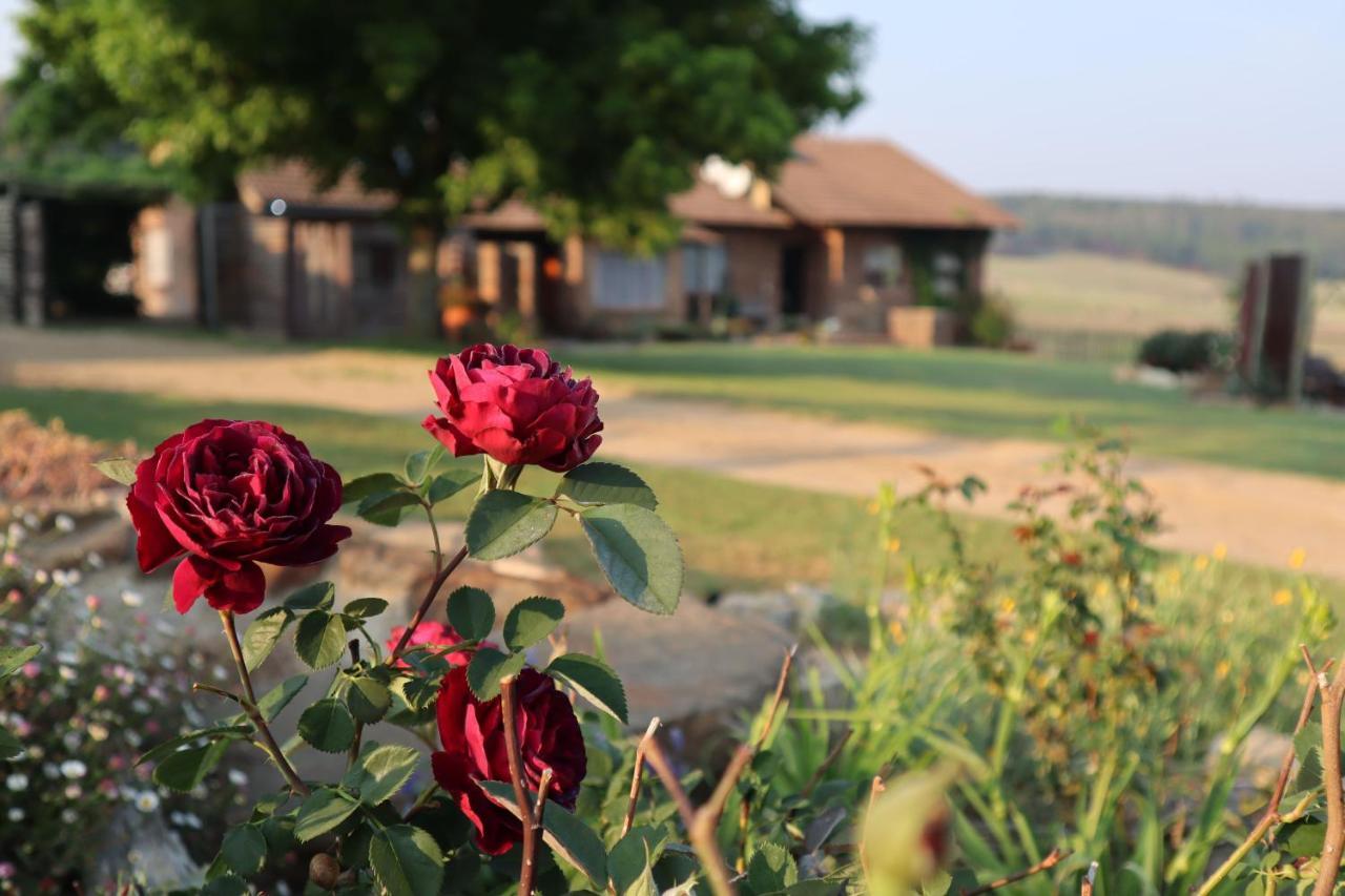 Rocks & Roses Farm Stay Lochiel Екстериор снимка