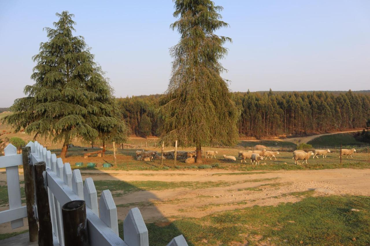 Rocks & Roses Farm Stay Lochiel Екстериор снимка