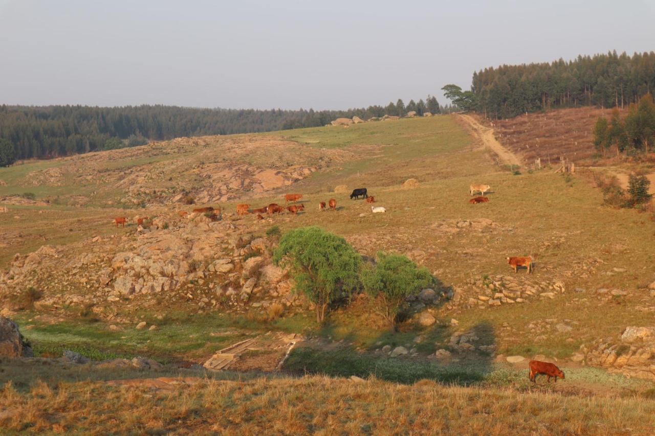 Rocks & Roses Farm Stay Lochiel Екстериор снимка