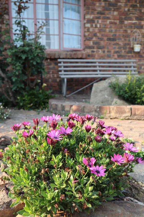 Rocks & Roses Farm Stay Lochiel Екстериор снимка